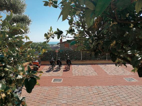 Dimora Effe - Eco B&B Termoli Exteriör bild